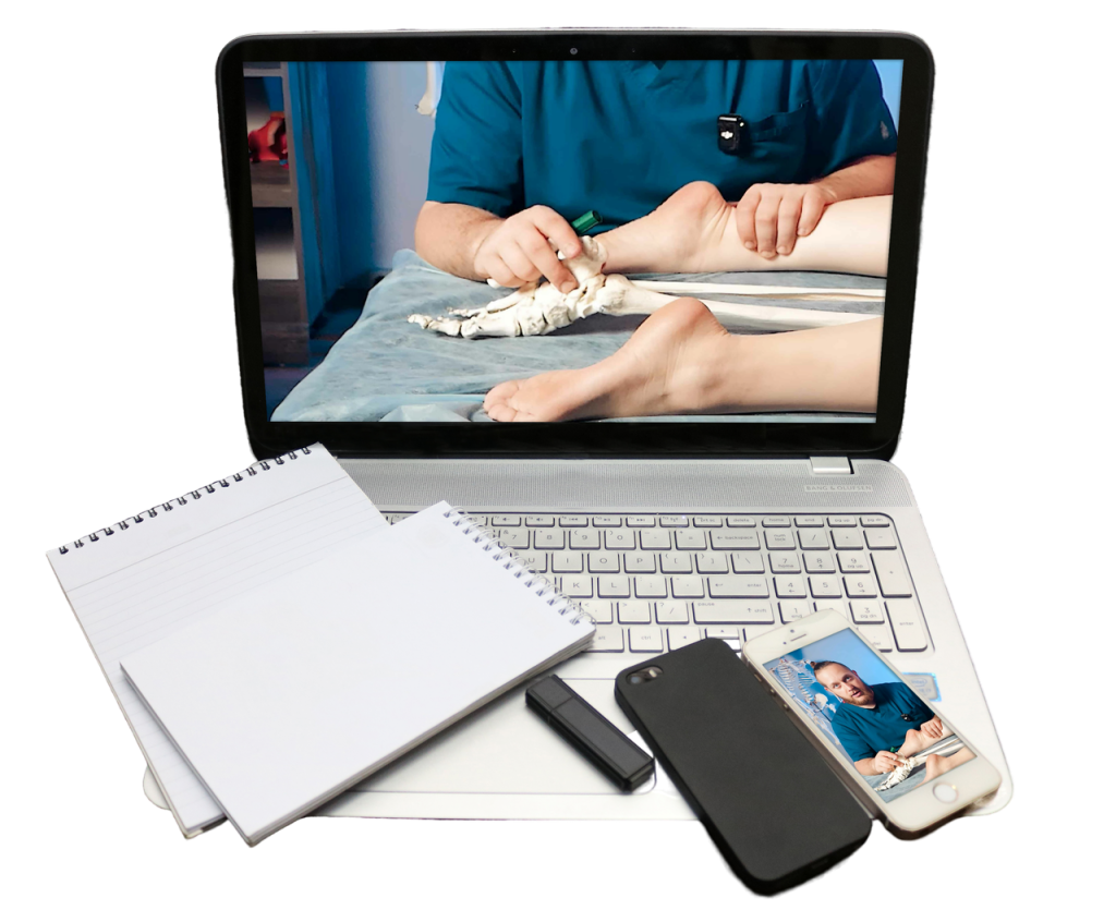 kurs zaslavskogo edited free carve.photos