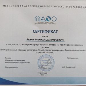 михаил_белюк_дипломы_15