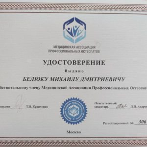 михаил_белюк_дипломы_16