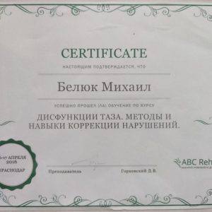 михаил_белюк_дипломы_7
