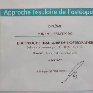 михаил_белюк_дипломы_9